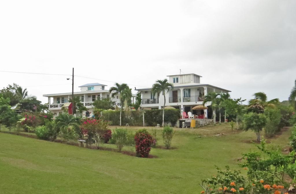 Great Escape And Breakfast Inn Vieques Extérieur photo