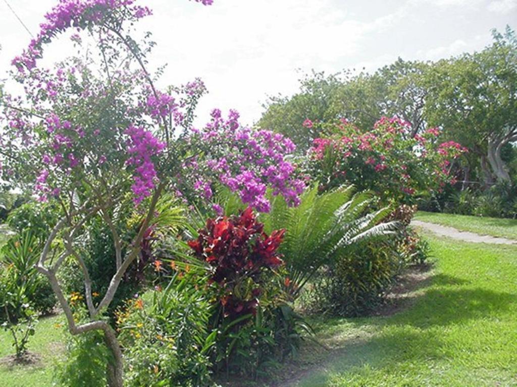 Great Escape And Breakfast Inn Vieques Extérieur photo