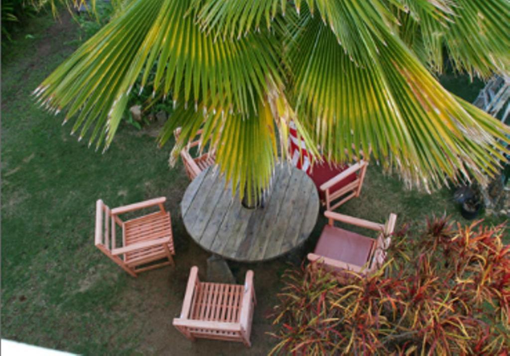 Great Escape And Breakfast Inn Vieques Extérieur photo